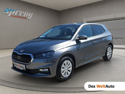 Skoda Fabia Gebrauchtwagen