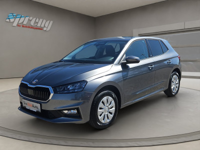 Skoda Fabia Gebrauchtwagen
