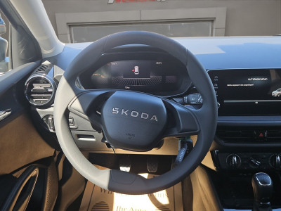 Skoda Fabia Gebrauchtwagen