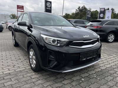 KIA Stonic Gebrauchtwagen