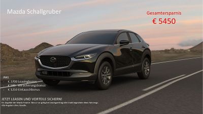 Mazda CX-30 Tageszulassung
