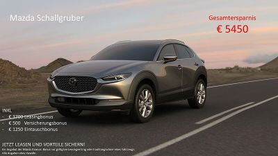 Mazda CX-30 Tageszulassung Mazda CX-30 Tageszulassung
