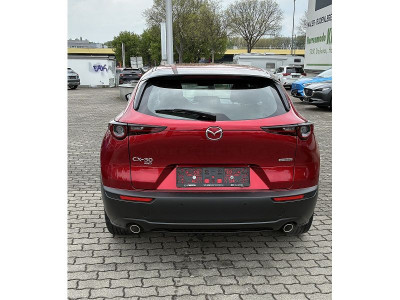 Mazda CX-30 Gebrauchtwagen
