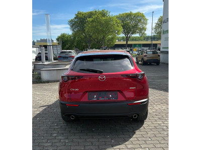 Mazda CX-30 Gebrauchtwagen
