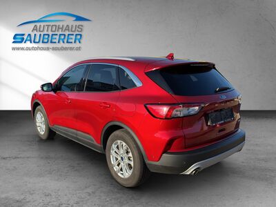 Ford Kuga Gebrauchtwagen