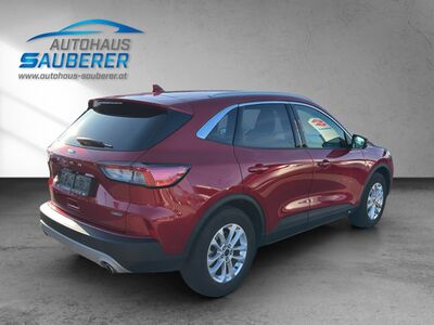 Ford Kuga Gebrauchtwagen