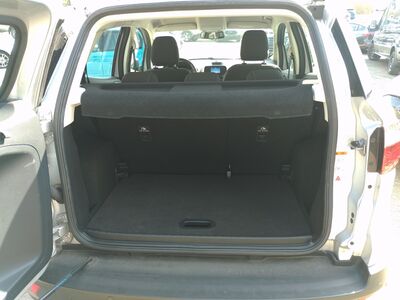 Ford EcoSport Gebrauchtwagen