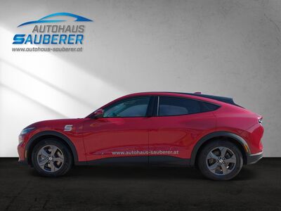 Ford Mustang Mach-E Gebrauchtwagen