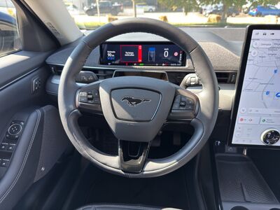 Ford Mustang Mach-E Gebrauchtwagen