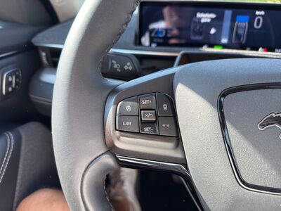 Ford Mustang Mach-E Gebrauchtwagen