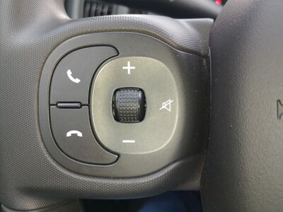 Fiat Panda Gebrauchtwagen