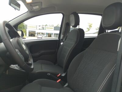 Fiat Panda Gebrauchtwagen