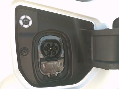 Ford Transit Custom Vorführwagen