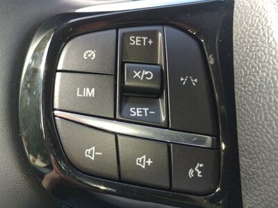 Ford Transit Custom Vorführwagen