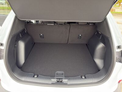 Ford Kuga Vorführwagen