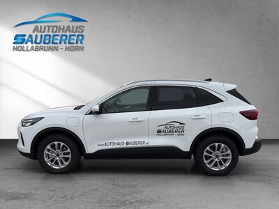 Ford Kuga Vorführwagen