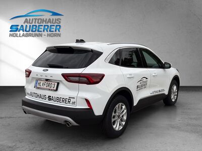 Ford Kuga Vorführwagen