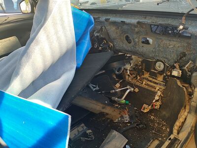 Ford Mustang Gebrauchtwagen