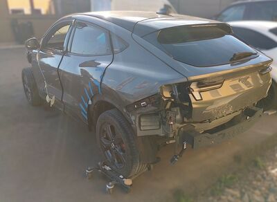 Ford Mustang Gebrauchtwagen