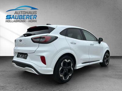 Ford Puma Neuwagen Ford Puma Neuwagen