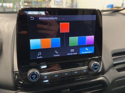 Ford EcoSport Gebrauchtwagen