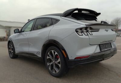 Ford Mustang Mach-E Gebrauchtwagen