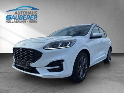 Ford Kuga Gebrauchtwagen Ford Kuga Gebrauchtwagen