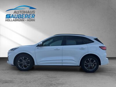 Ford Kuga Gebrauchtwagen Ford Kuga Gebrauchtwagen