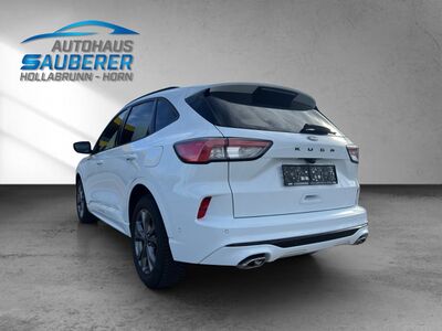 Ford Kuga Gebrauchtwagen Ford Kuga Gebrauchtwagen
