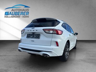 Ford Kuga Gebrauchtwagen Ford Kuga Gebrauchtwagen