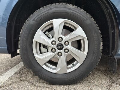 Ford Transit Custom Vorführwagen