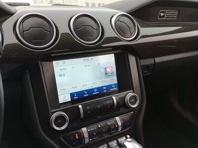 Ford Mustang Gebrauchtwagen Ford Mustang Gebrauchtwagen