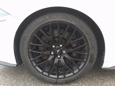 Ford Mustang Gebrauchtwagen Ford Mustang Gebrauchtwagen