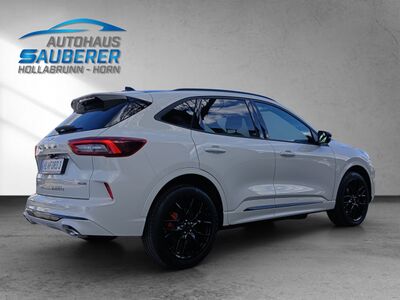 Ford Kuga Neuwagen
