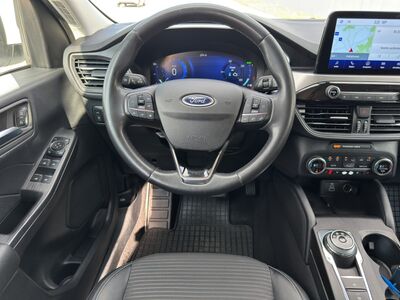 Ford Kuga Gebrauchtwagen