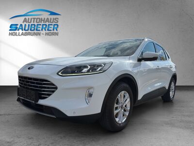 Ford Kuga Gebrauchtwagen