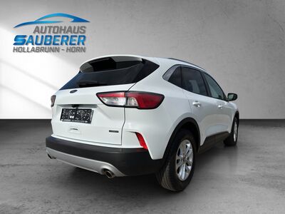 Ford Kuga Gebrauchtwagen