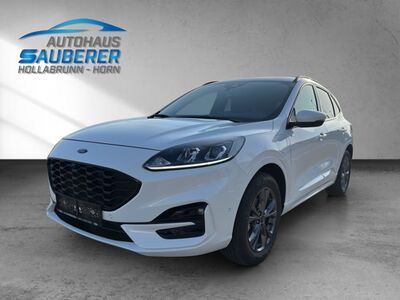 Ford Kuga Gebrauchtwagen Ford Kuga Gebrauchtwagen
