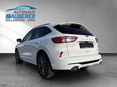 Ford Kuga Gebrauchtwagen Ford Kuga Gebrauchtwagen