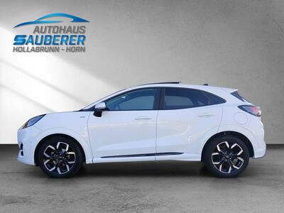 Ford Puma Gebrauchtwagen Ford Puma Gebrauchtwagen