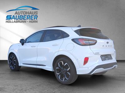 Ford Puma Gebrauchtwagen Ford Puma Gebrauchtwagen