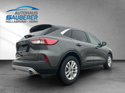 Ford Kuga Gebrauchtwagen