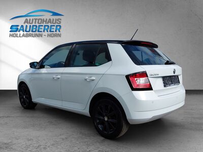Skoda Fabia Gebrauchtwagen