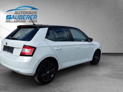 Skoda Fabia Gebrauchtwagen