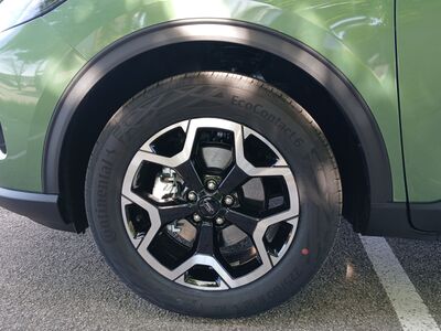 Ford Kuga Vorführwagen