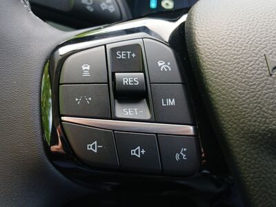Ford Kuga Vorführwagen
