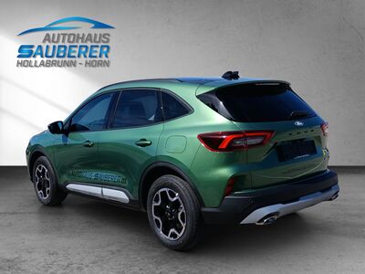 Ford Kuga Vorführwagen