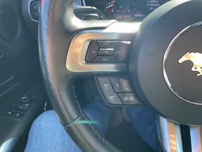 Ford Mustang Gebrauchtwagen