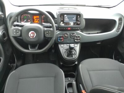 Fiat Panda Gebrauchtwagen Fiat Panda Gebrauchtwagen