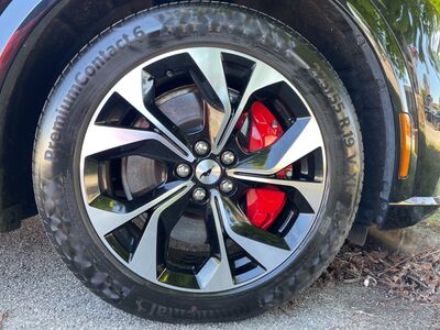 Ford Mustang Gebrauchtwagen Ford Mustang Gebrauchtwagen
